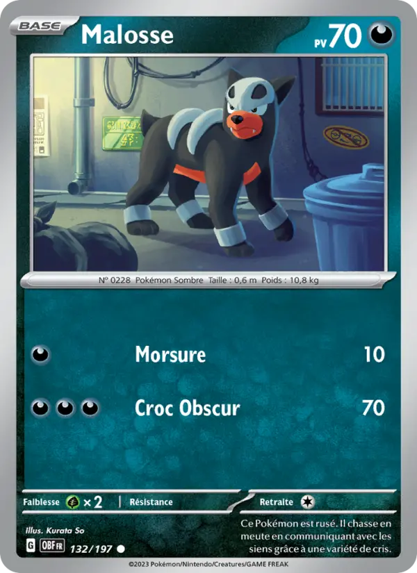 Carte Pokemon 132/197 Malosse | LorenZone