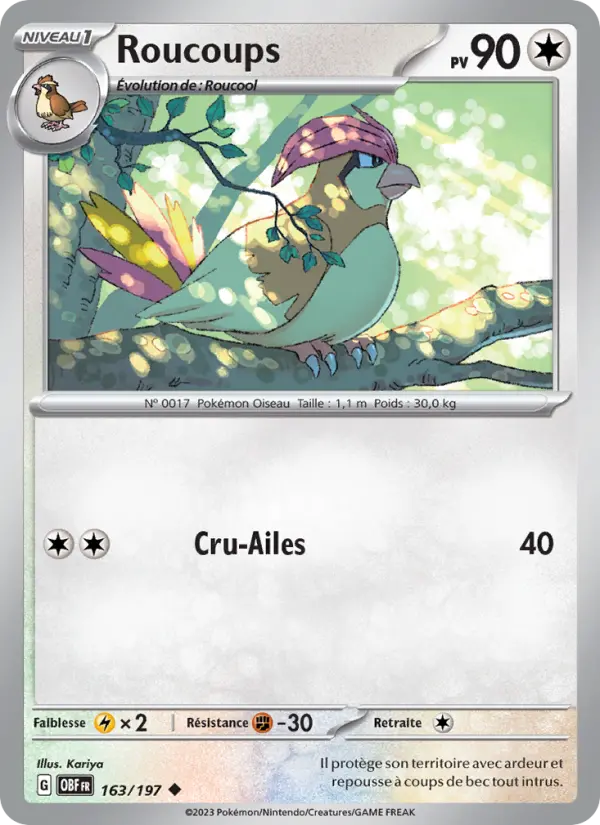 Carte Pokemon 163/197 Roucoups | LorenZone
