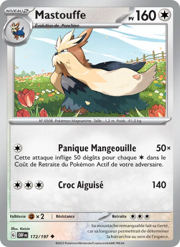 Carte Pokemon 172/197 Mastouffe | LorenZone