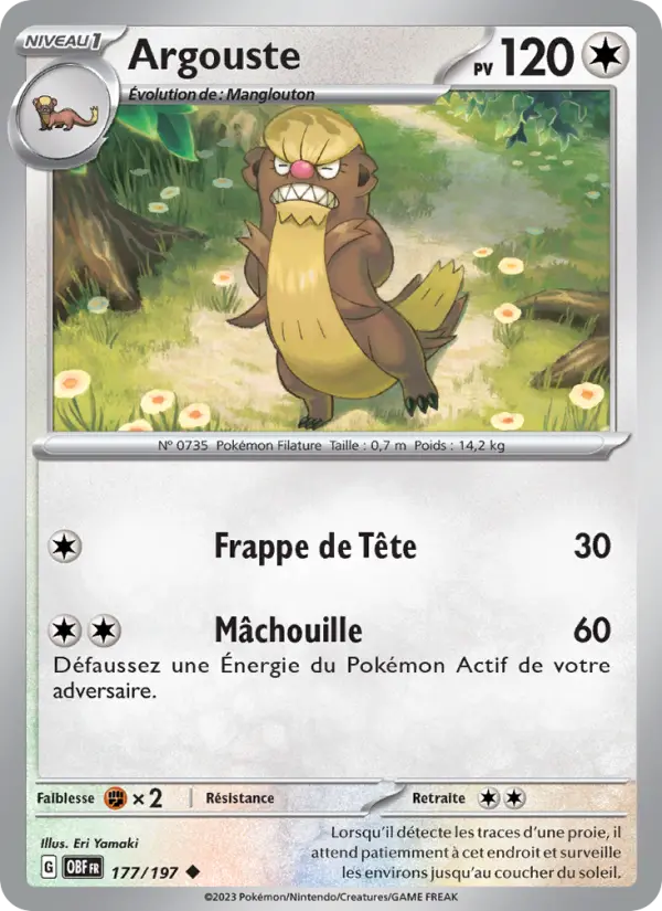 Carte Pokemon 177/197 Argouste | LorenZone