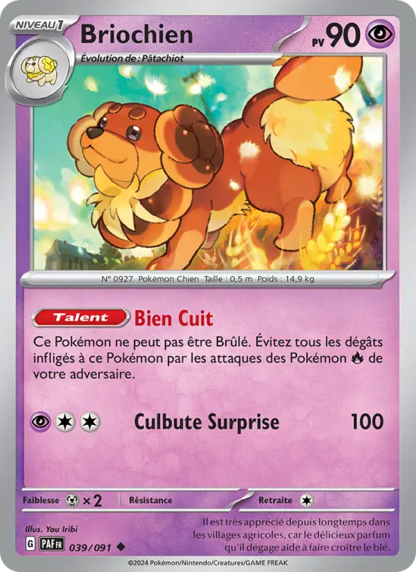 Carte Pokemon 039/091 Briochien | LorenZone