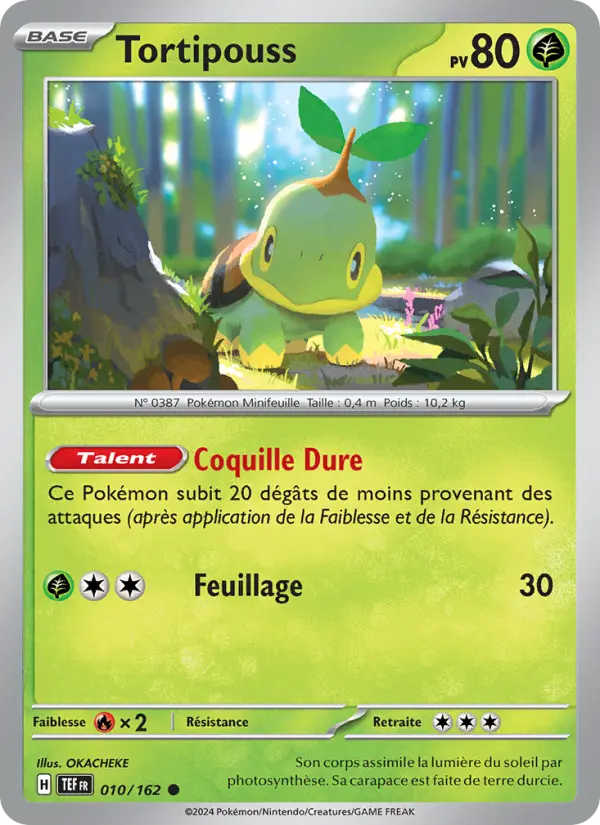 Carte Pokemon 010/162 Tortipouss Reverse | LorenZone