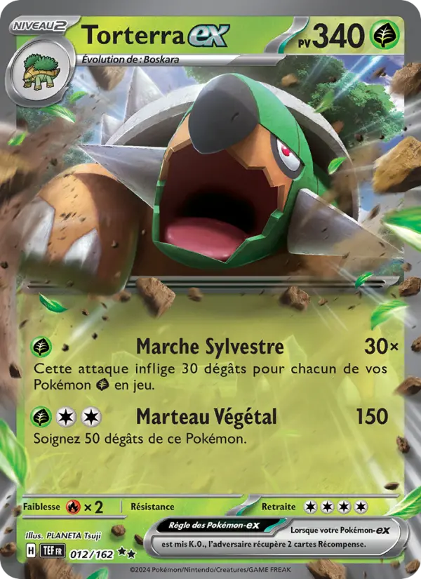 Carte Pokemon 012/162 Torterra-ex | LorenZone