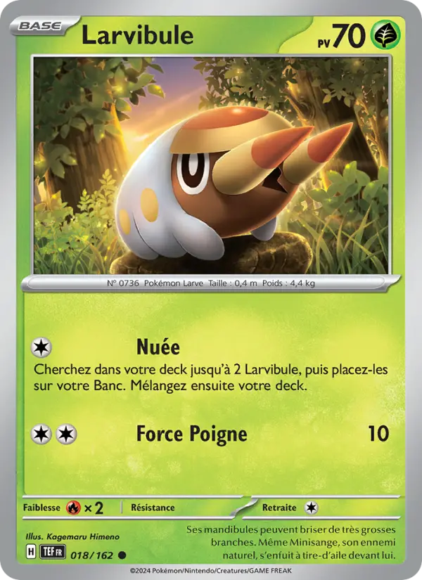 Carte Pokemon 018/162 Larvibule Reverse | LorenZone