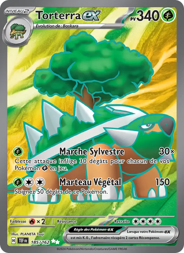 Carte Pokemon 185/162 Torterra-ex Holo | LorenZone