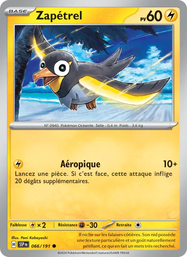 Carte Pokemon 066/191 Zapétrel Reverse | LorenZone