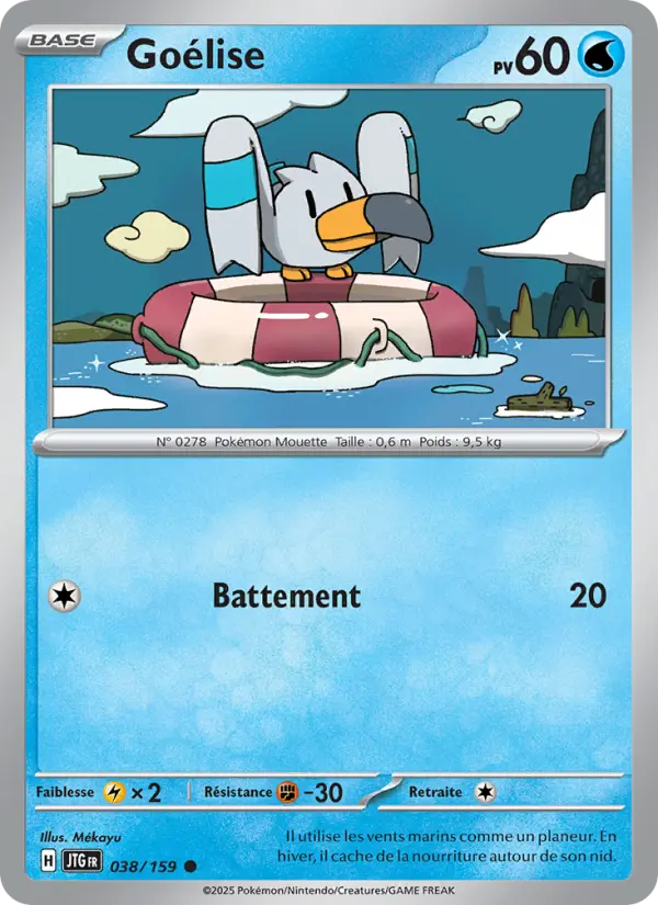 Carte Pokemon 038/159 Goélise Reverse | LorenZone