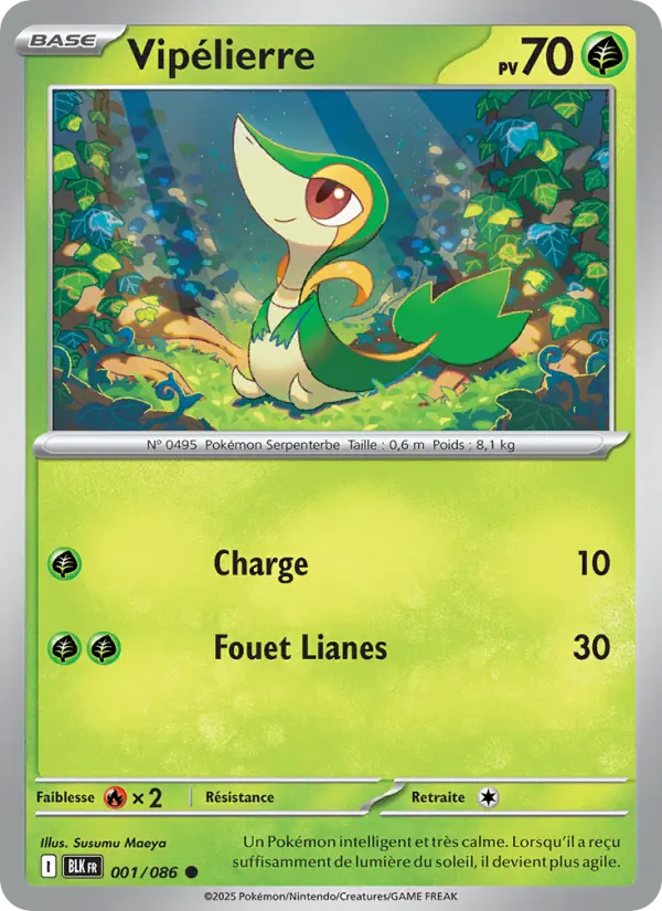 Carte Pokemon 001/086 Vipélierre Reverse | LorenZone