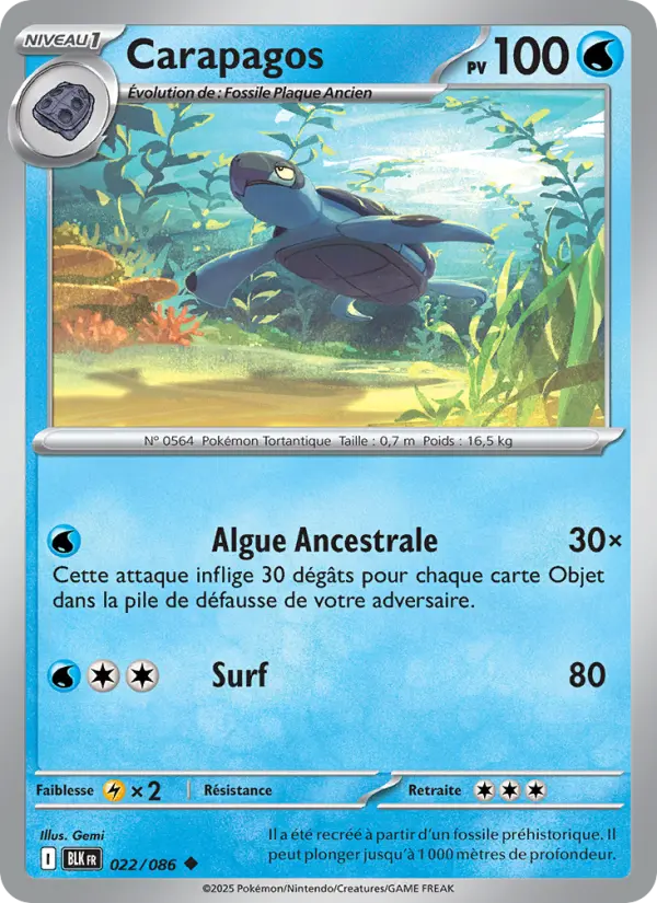Carte Pokemon 022/086 Carapagos Reverse | LorenZone