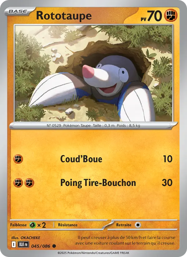 Carte Pokemon 045/086 Rototaupe Reverse | LorenZone