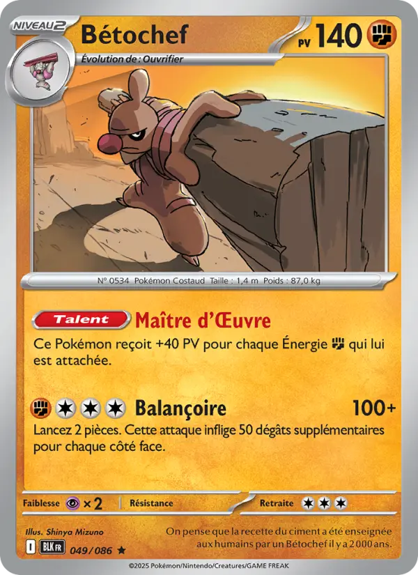 Carte Pokemon 049/086 Bétochef Reverse | LorenZone