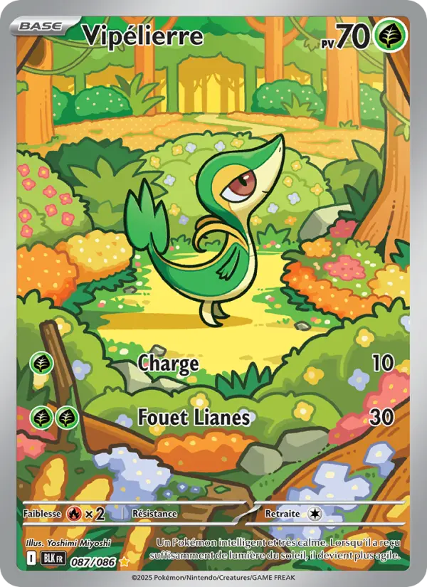 Carte Pokemon 087/086 Vipélierre Illustration Rare | LorenZone