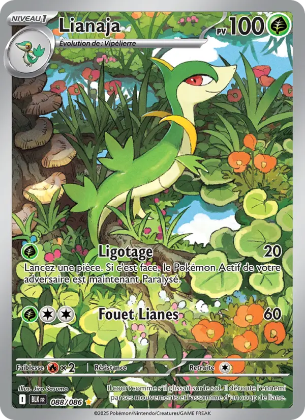 Carte Pokemon 088/086 Lianaja Illustration Rare | LorenZone