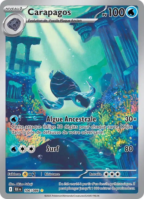 Carte Pokemon 106/086 Carapagos Illustration Rare | LorenZone
