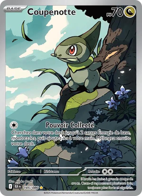 Carte Pokemon 145/086 Coupenotte Illustration Rare | LorenZone