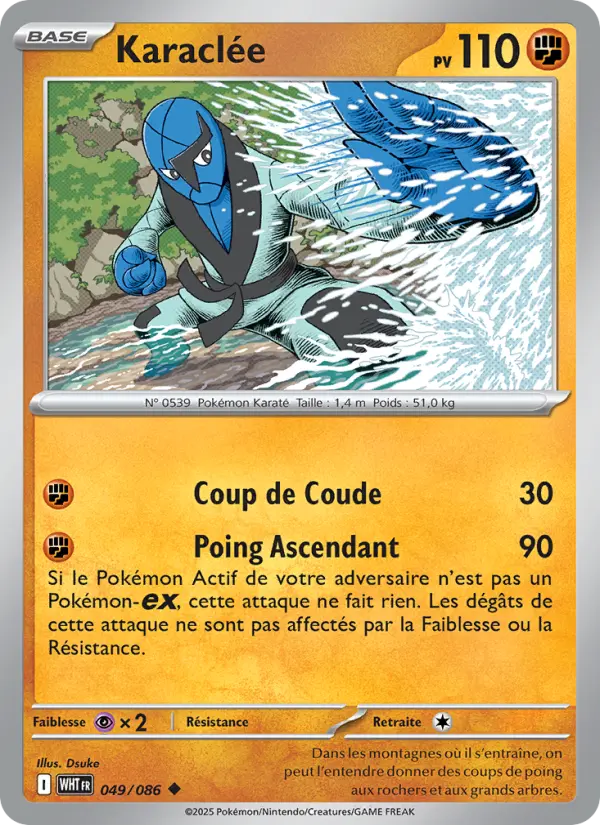 Carte Pokemon 049/086 Karaclée | LorenZone