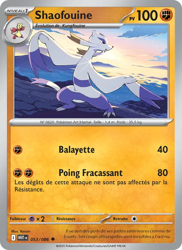 Carte Pokemon 053/086 Shaofouine | LorenZone