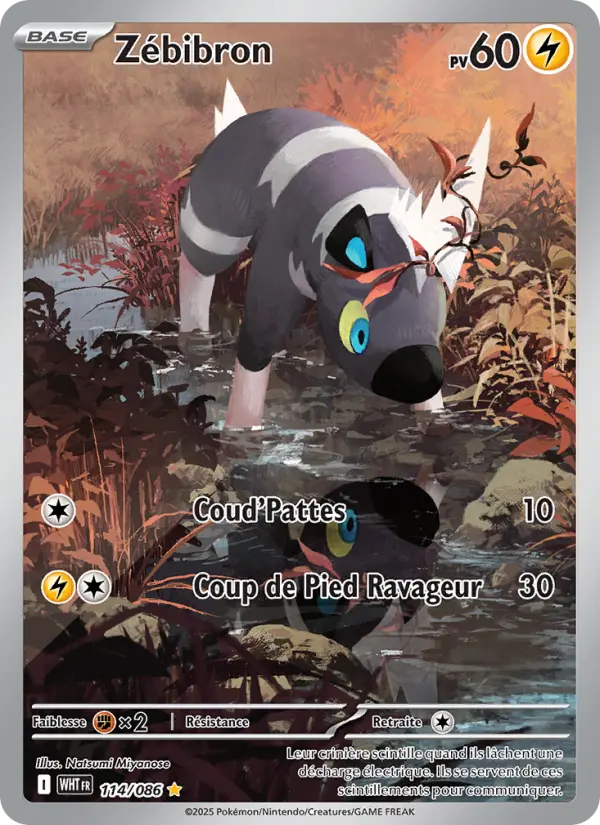 Carte Pokemon 114/086 Zébibron Illustration Rare | LorenZone