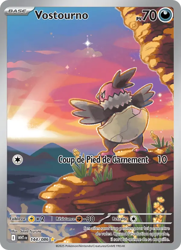 Carte Pokemon 144/086 Vostourno Illustration Rare | LorenZone