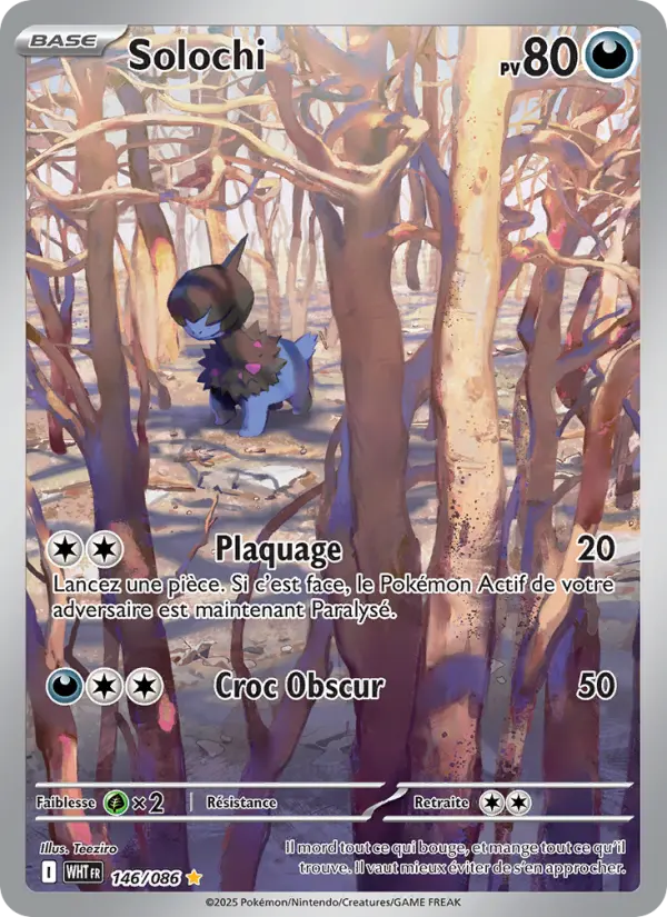 Carte Pokemon 146/086 Solochi Illustration Rare | LorenZone