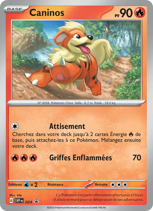 Carte Pokemon SVP024 Caninos | LorenZone