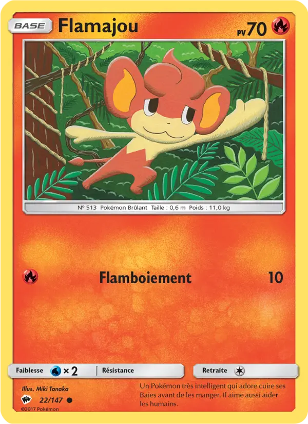 022/147 - Flamajou