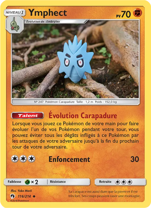 116/214 - Ymphect