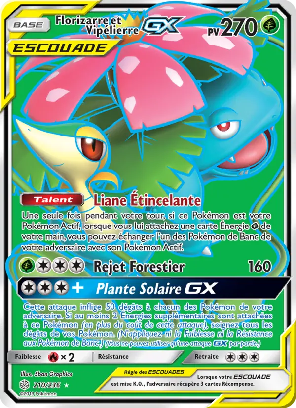 210/236 - Florizarre et Vipélierre GX