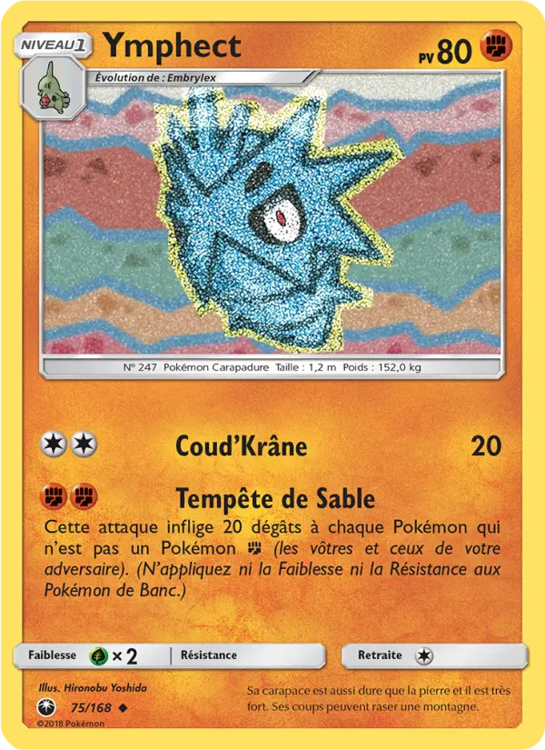 075/168 - Ymphect