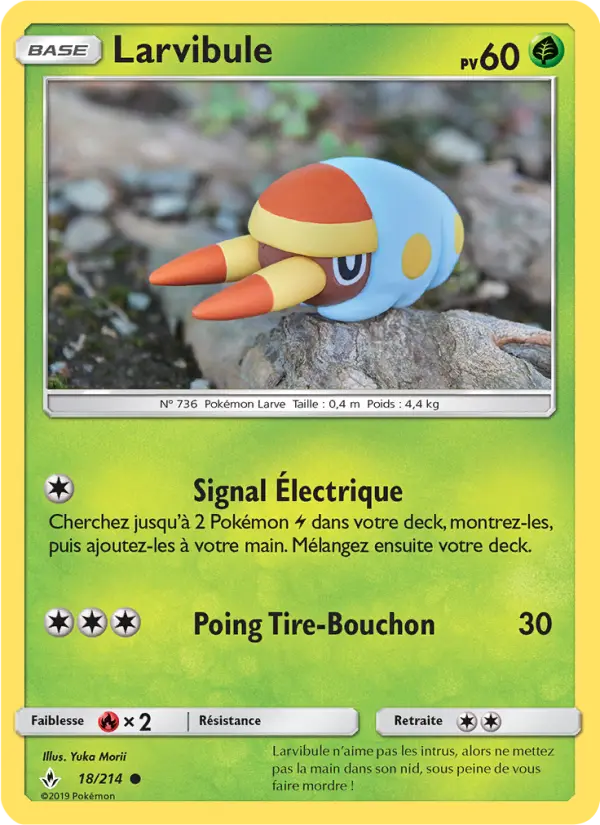 018/214 - Larvibule