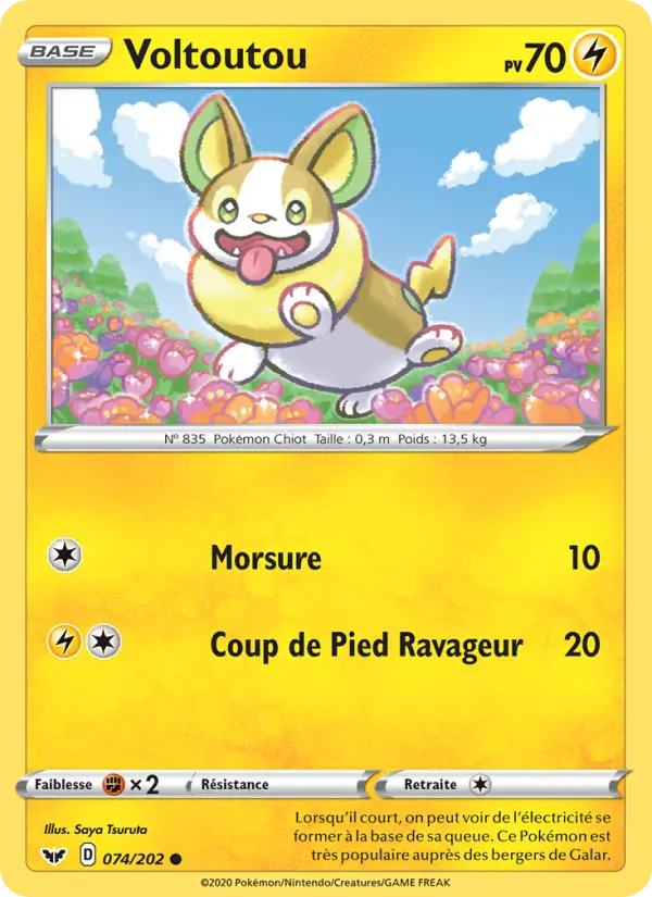 074/202 - Voltoutou – Épée et Bouclier (Carte Pokémon FR à petit prix, à l’unité sur Lorenzone.fr)