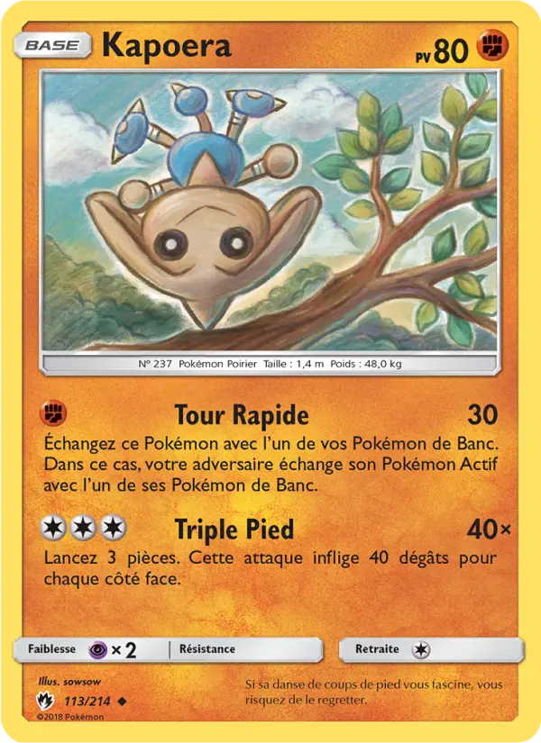 113/214 - Kapoera