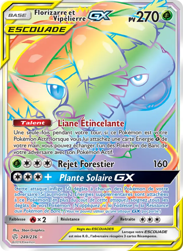 249/236 - Florizarre et Vipélierre GX