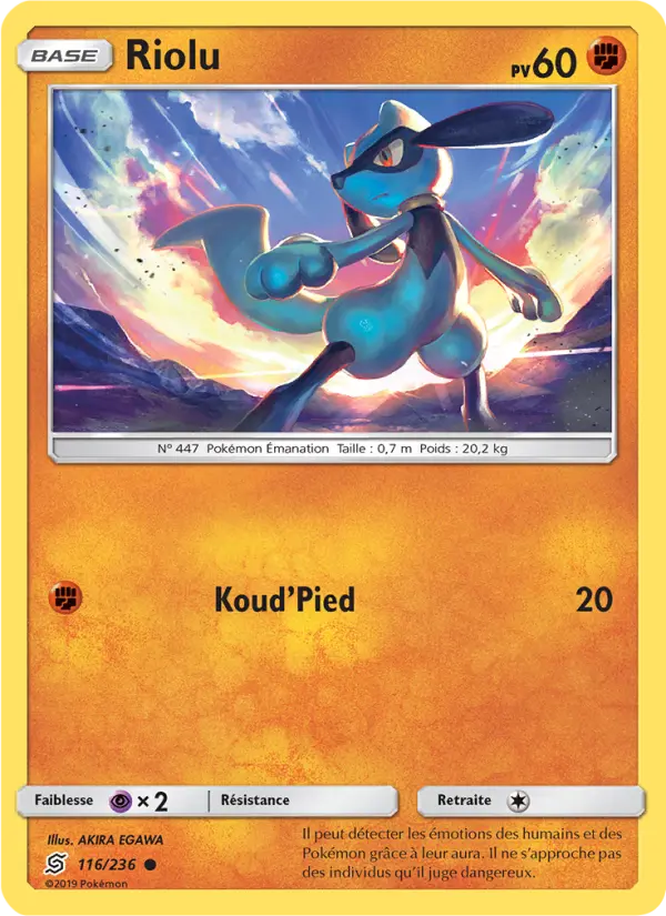 116/236 - Riolu