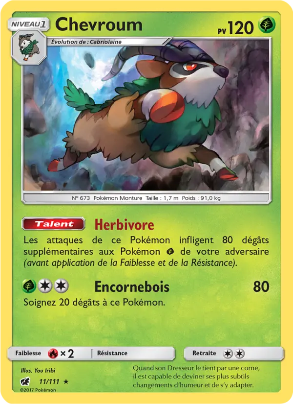 011/111 - Chevroum