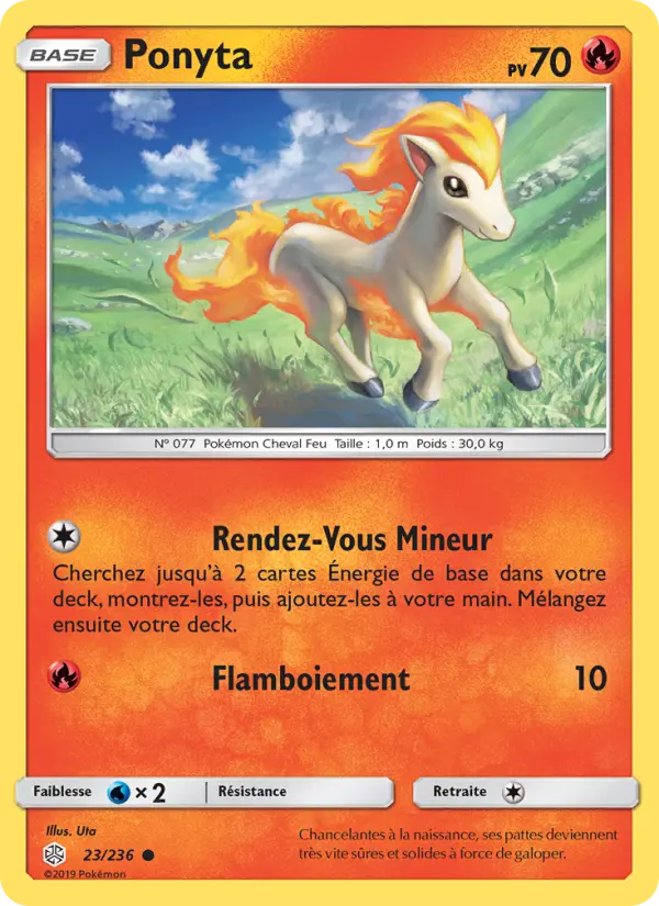 023/236 - Ponyta