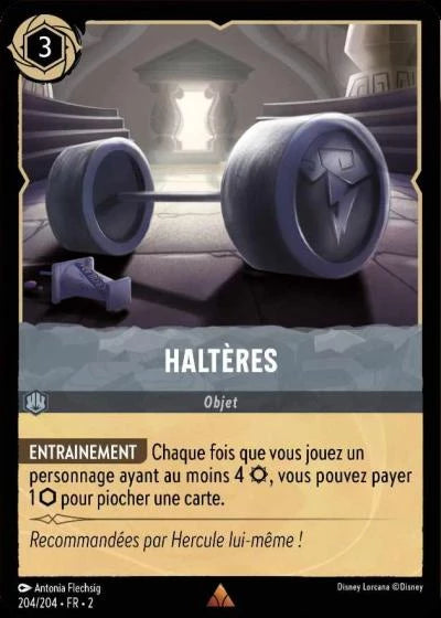 204/204 - Haltères