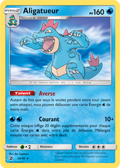 024/070 - Aligatueur