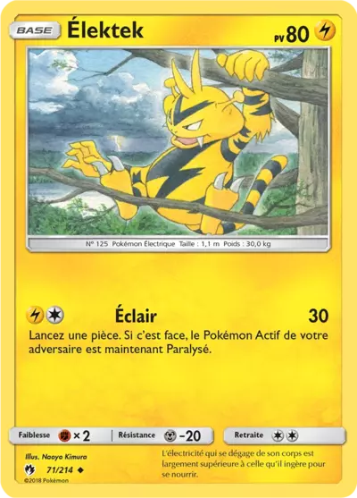 071/214 - Élektek