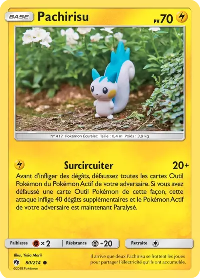 080/214 - Pachirisu