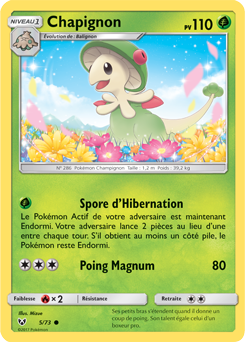 005/073 - Chapignon