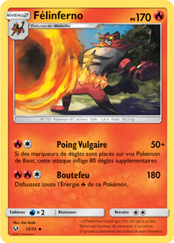 017/073 - Félinferno