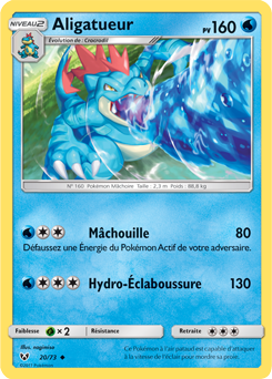 020/073 - Aligatueur