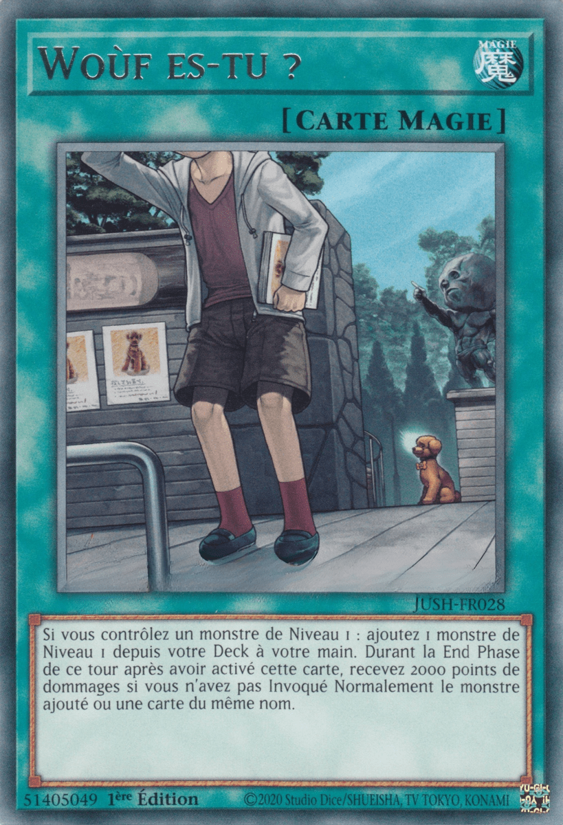 JUSH - FR028 - Woùf es - tu ? - LorenZone - Pokémon