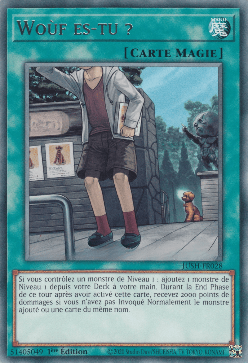 JUSH - FR028 - Woùf es - tu ? - LorenZone - Pokémon