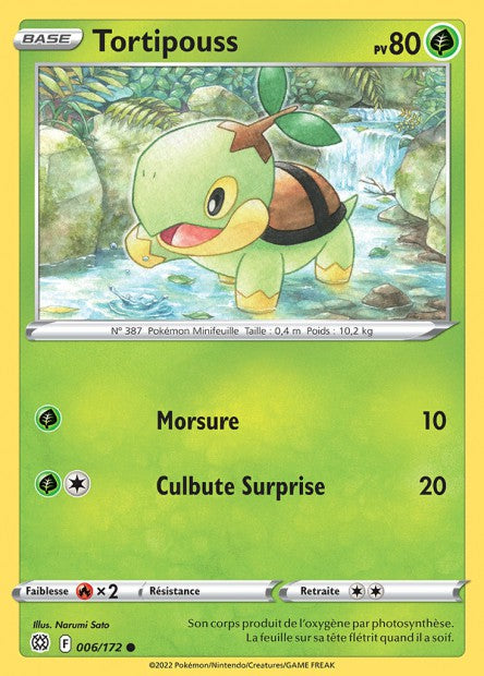 Carte Pokémon Tortipouss 006/172 BRS Stars Étincelantes EB09 Neuf FR LorenZone