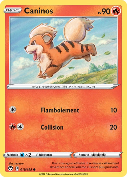 Carte Pokémon Caninos 019/195 SIT Tempete Argentee EB12 Neuf FR LorenZone