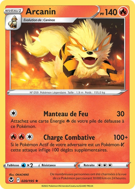 Carte Pokémon Arcanin 020/195 SIT Tempete Argentee EB12 Neuf FR LorenZone
