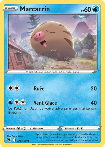Carte Pokémon Marcacrin 031/189 ASR Astres Radieux EB10 Neuf FR LorenZone