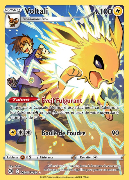 Carte Pokémon Voltali TG04/TG30 BRS Stars Étincelantes EB09 Neuf FR LorenZone